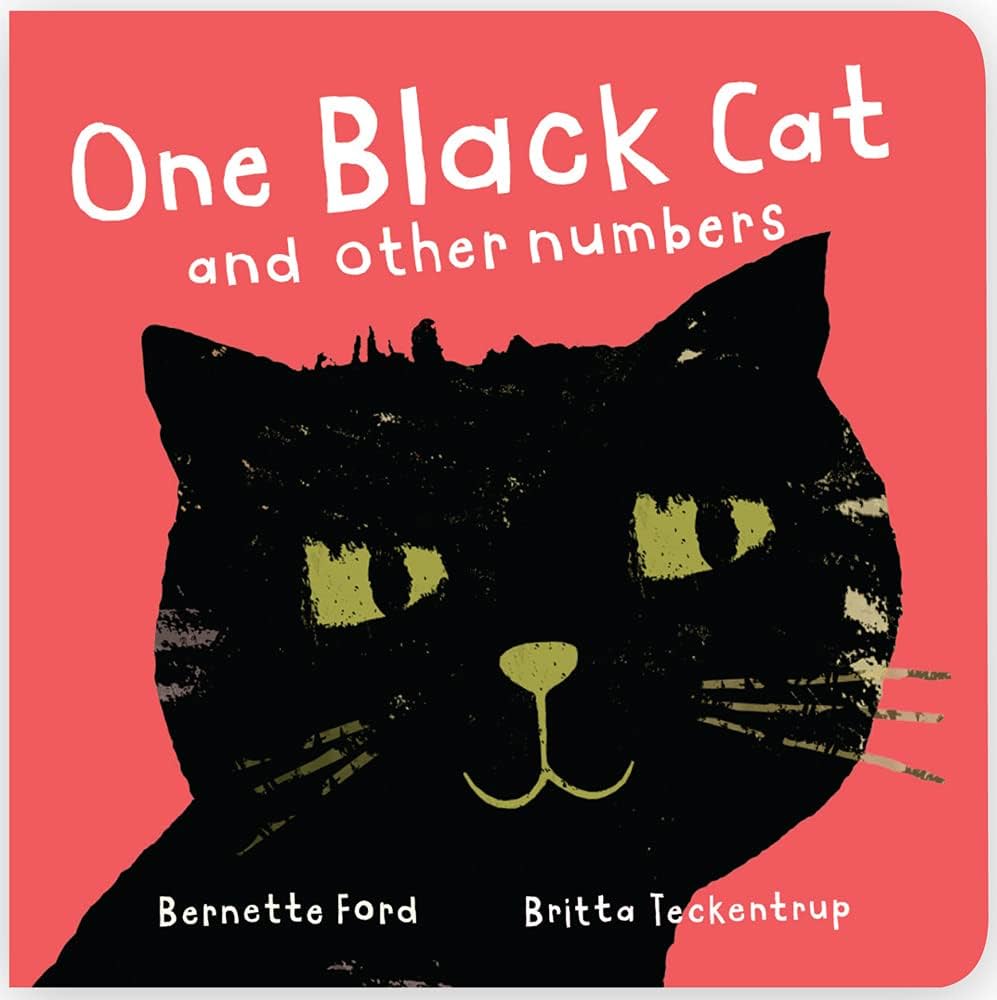 英語絵本　Early Reads - Black Cat - 29冊新品 英語絵本 Early Reads - Black Cat - 29冊新品 英語絵本 Early Reads